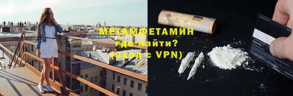 ГАЛЛЮЦИНОГЕННЫЕ ГРИБЫ Инта