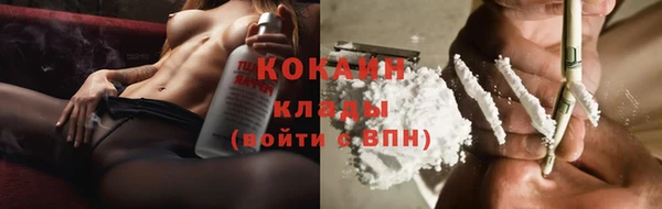 ГАЛЛЮЦИНОГЕННЫЕ ГРИБЫ Инта