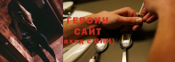 гидра Инсар