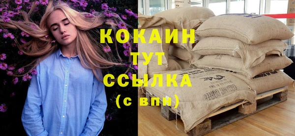 ГАЛЛЮЦИНОГЕННЫЕ ГРИБЫ Инта