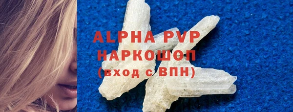 ГАЛЛЮЦИНОГЕННЫЕ ГРИБЫ Инта