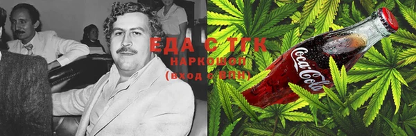 ГАЛЛЮЦИНОГЕННЫЕ ГРИБЫ Инта