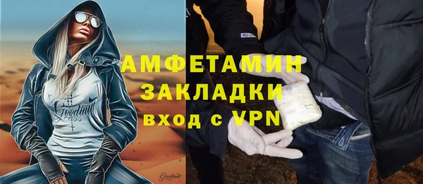 ГАЛЛЮЦИНОГЕННЫЕ ГРИБЫ Инта