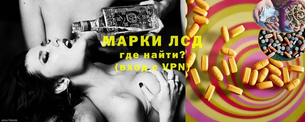 гидра Инсар