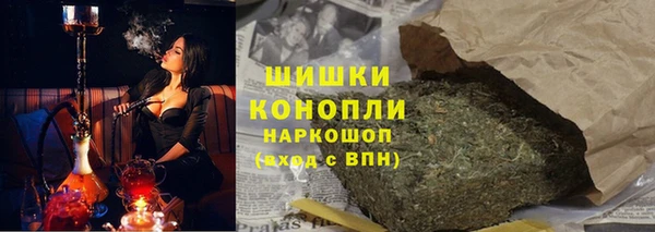 гидра Инсар