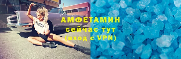 ГАЛЛЮЦИНОГЕННЫЕ ГРИБЫ Инта