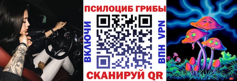 Купить  Зеленодольск  Галлюциногенные грибы Psilocybe 